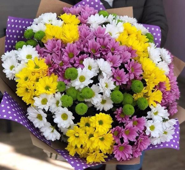 Стойкие цветы в Волгограде