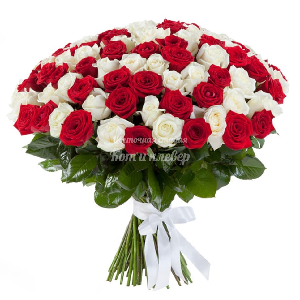 Волгоград доставка цветов 101 роза глориоза цветы купить